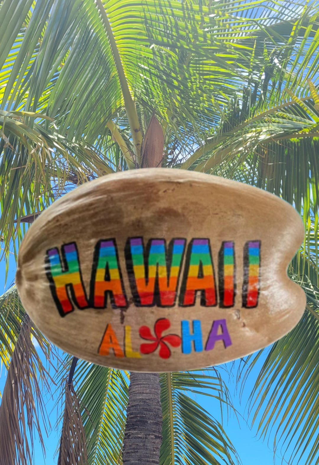 Hawaii Colors Color Festival Maui Hawaii New Annual Event Series At