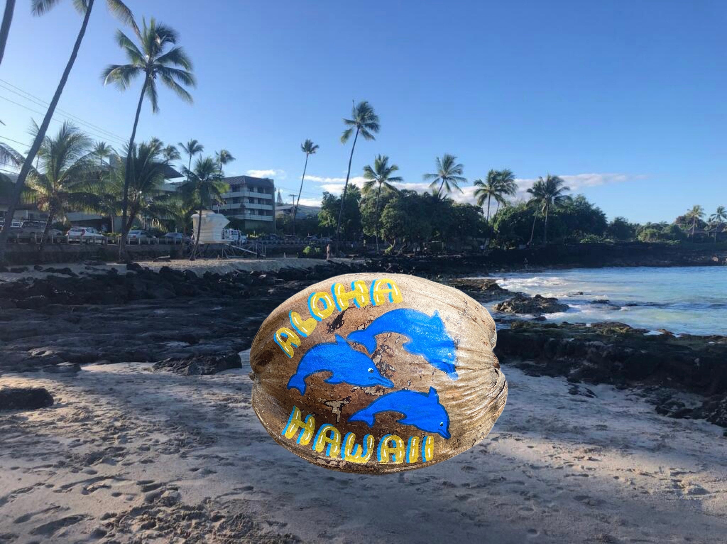 Coconut Postcards Kona Home