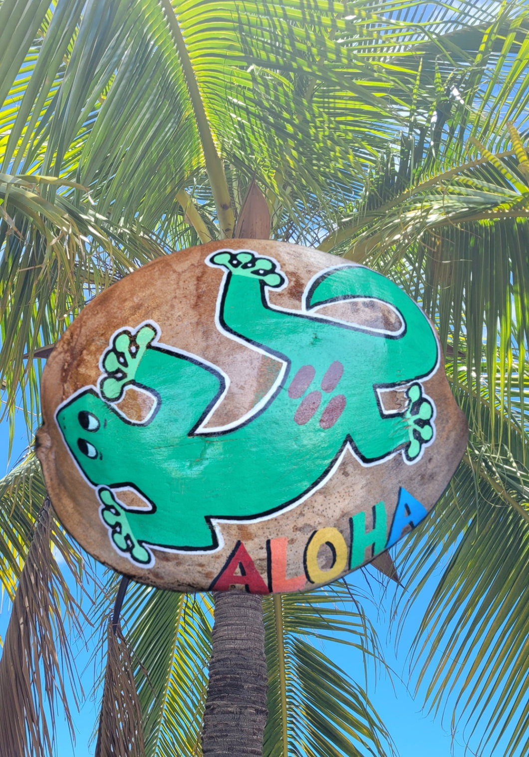 Gecko (Lizard)