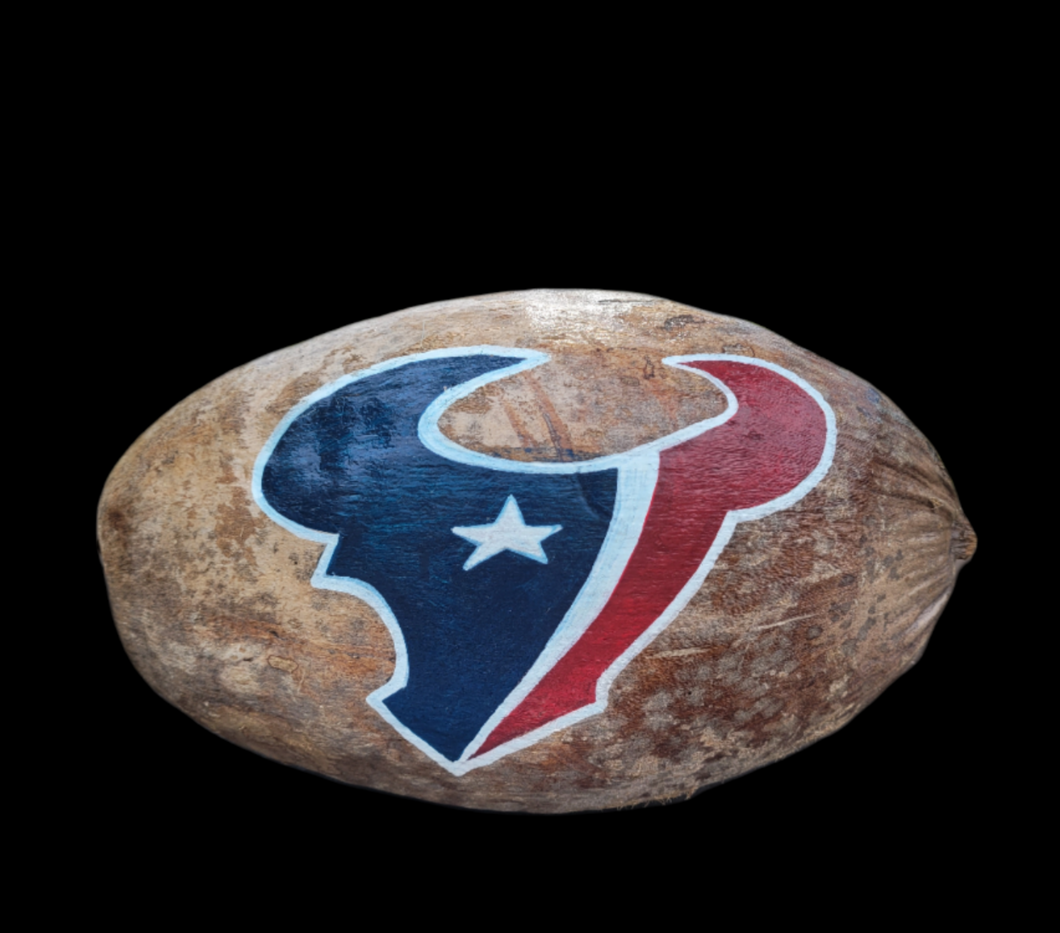 Houston Texans