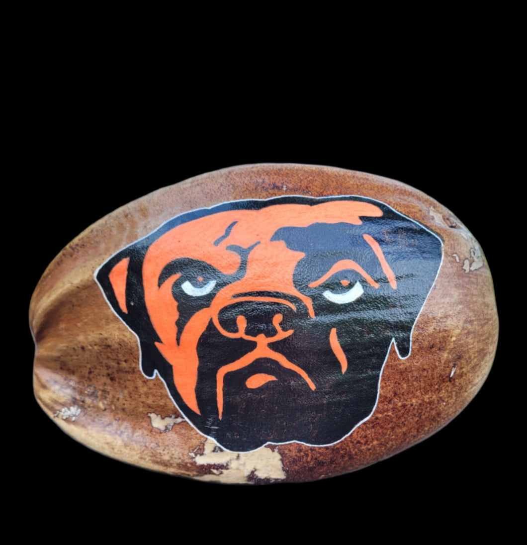Cleveland Browns