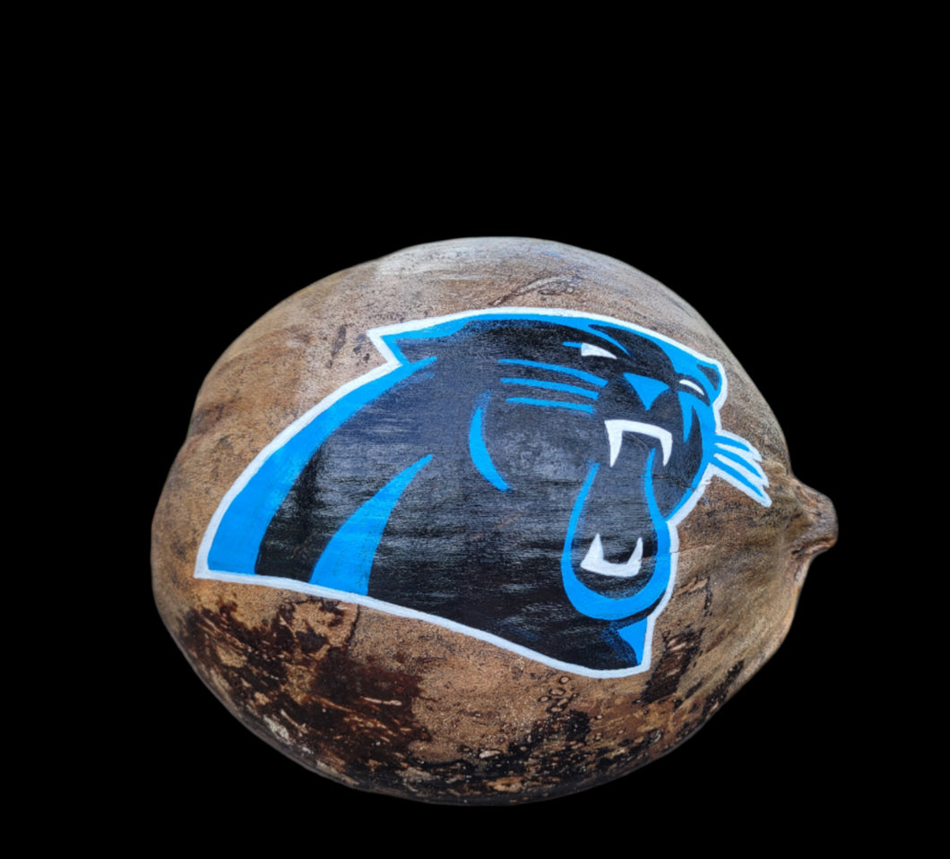 Carolina Panthers