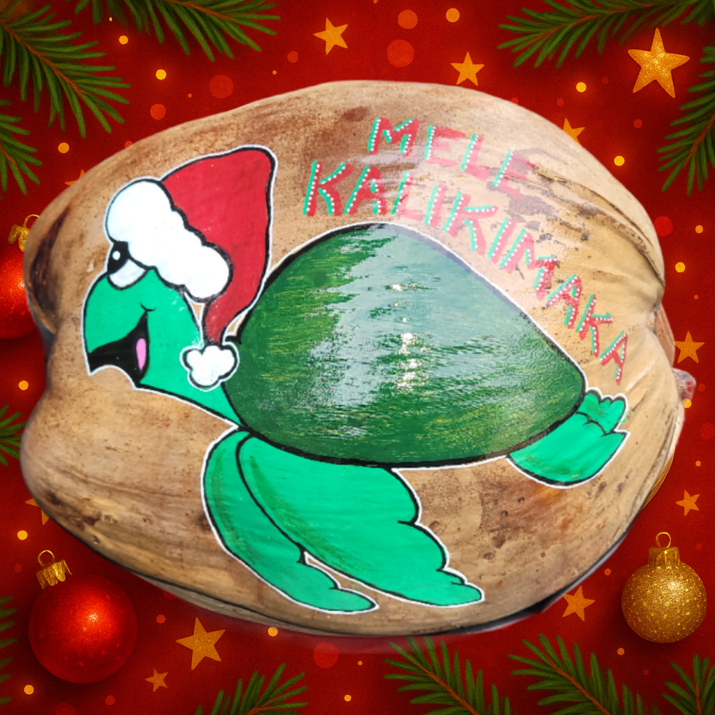 Santa Turtle
